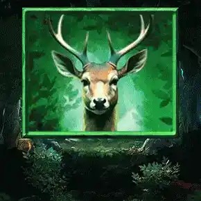 Play Almighty Bear Megaways slot by Blueprint Gaming on rewards-casino.de